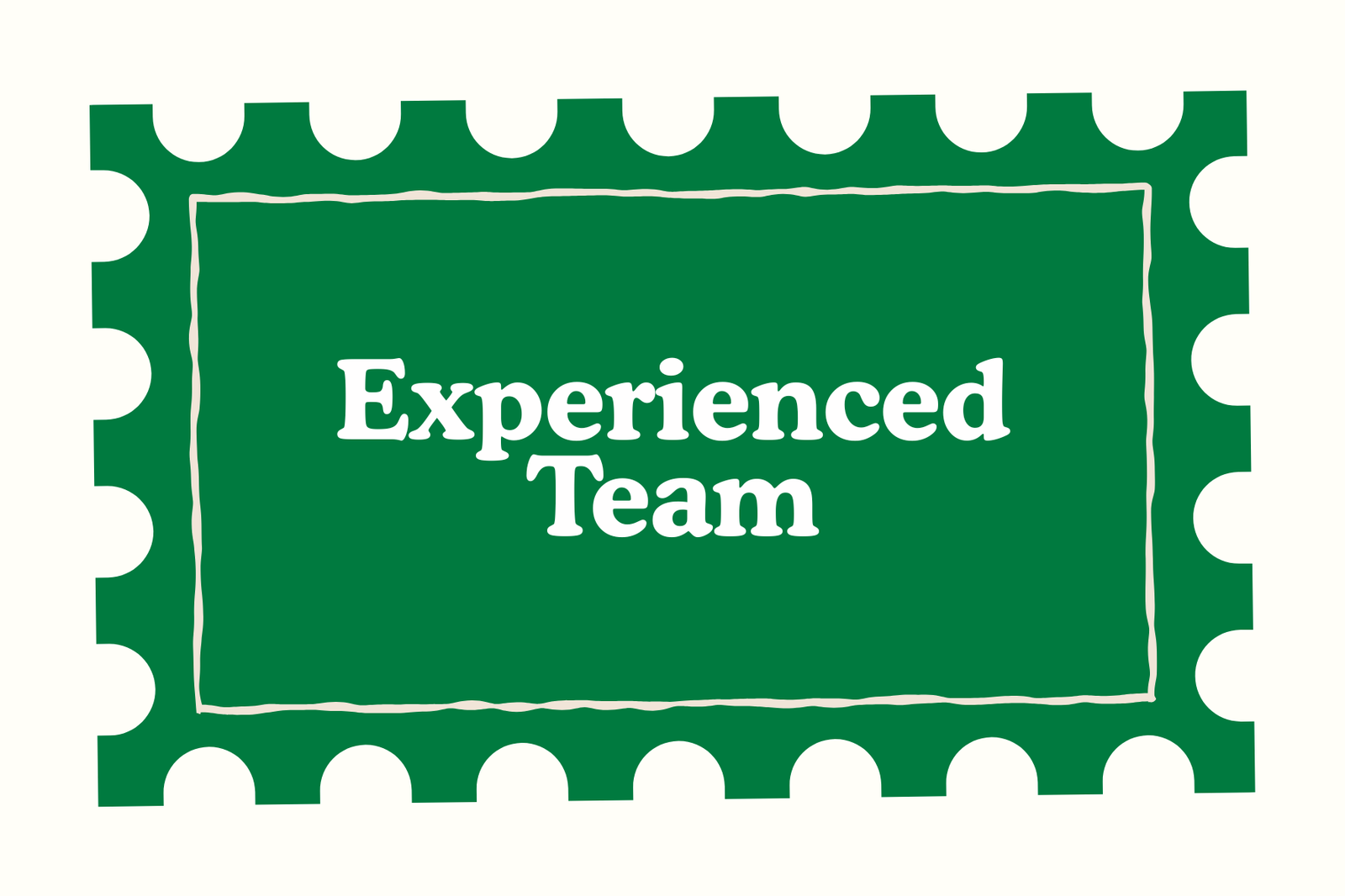 experienced Team